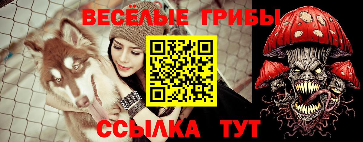 Псилоцибиновые грибы ЛСД  Вход с VPN  Красноперекопск 